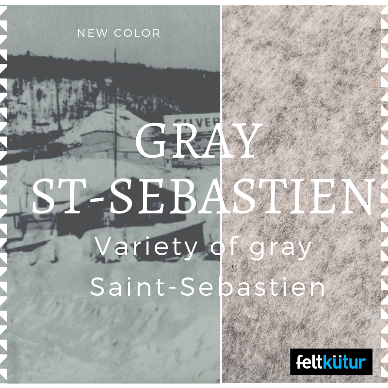 Article St-Sebastien - Variety of gray St-sebastien_ImageReseauSociaux_EN