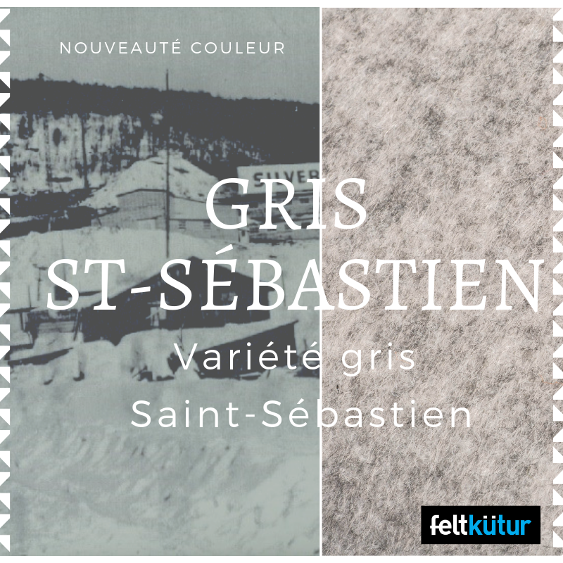 Article St-Sebastien - Variety of gray St-sebastien_ImageReseauSociaux_FR